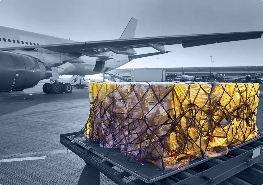 Global Warehousing Expert