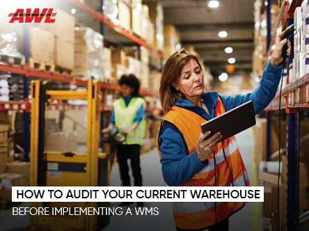 Warehouse Audit for WMS