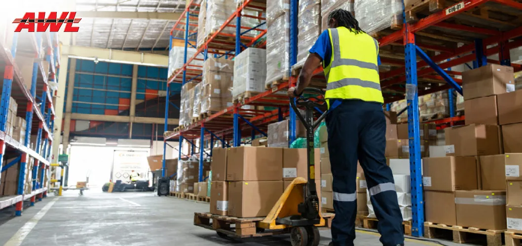 Indian Last-Mile Delivery Networks