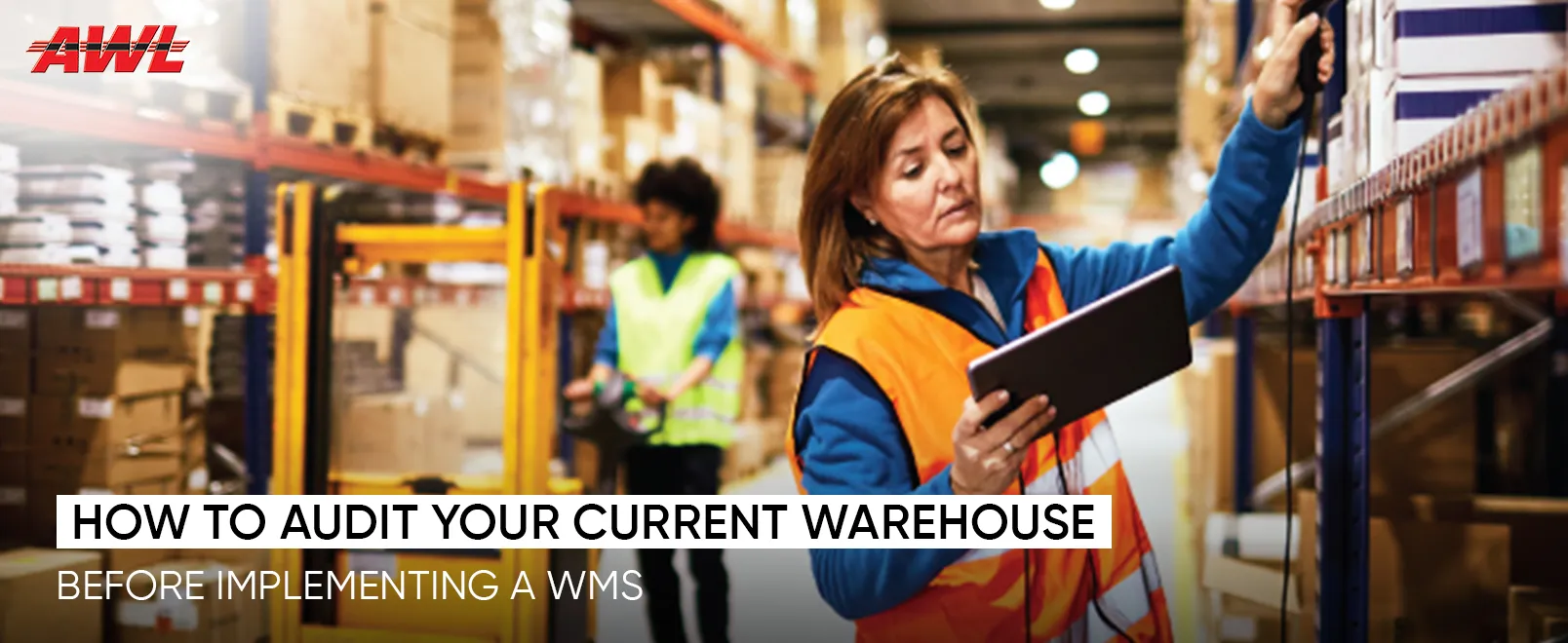 Warehouse Audit for WMS