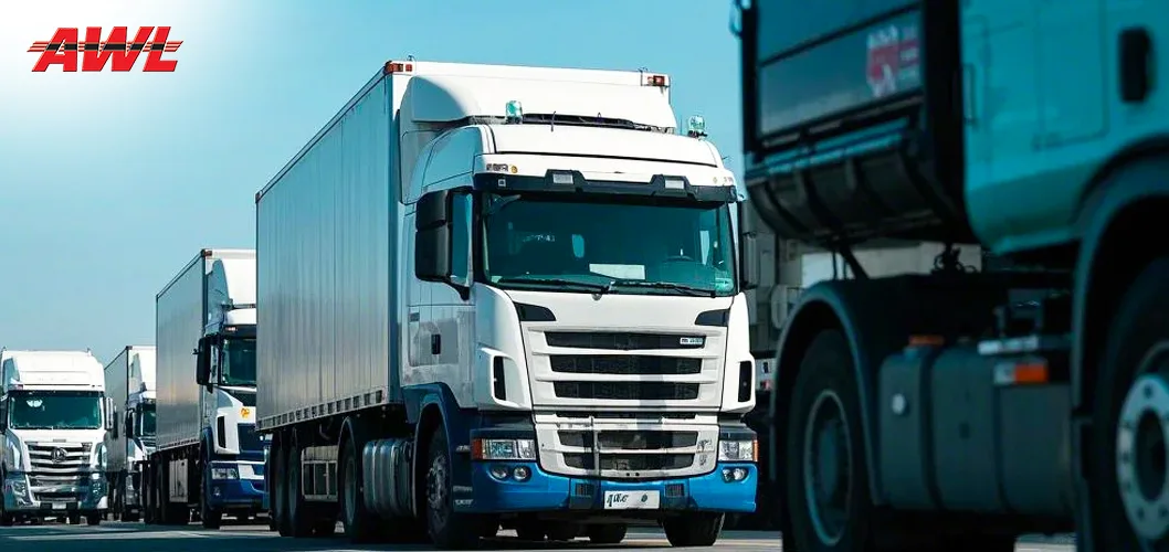 US tariffs reshuffled export