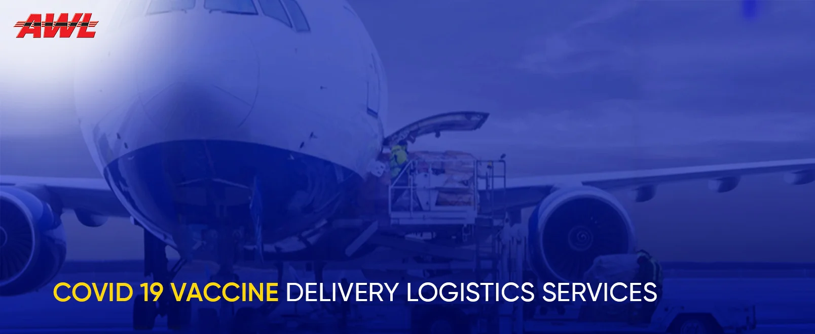 Covid 19 Vaccine Delivery Logistics Services