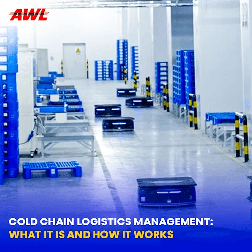 Cold Chain Logistics Management: What It Is & How It Works