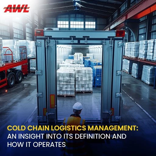 Cold Chain Logistics Management: An Insight into Its Definition and How It Operates
