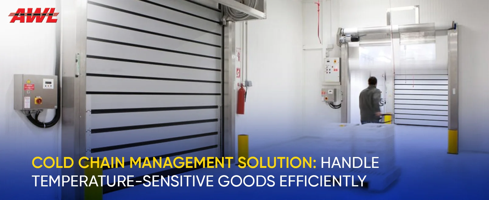 Cold Chain Management Solution: Handle Temperature-sensitive Goods Efficiently