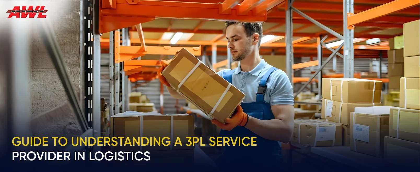 Guide to Understanding a 3PL Service Provider in Logistics