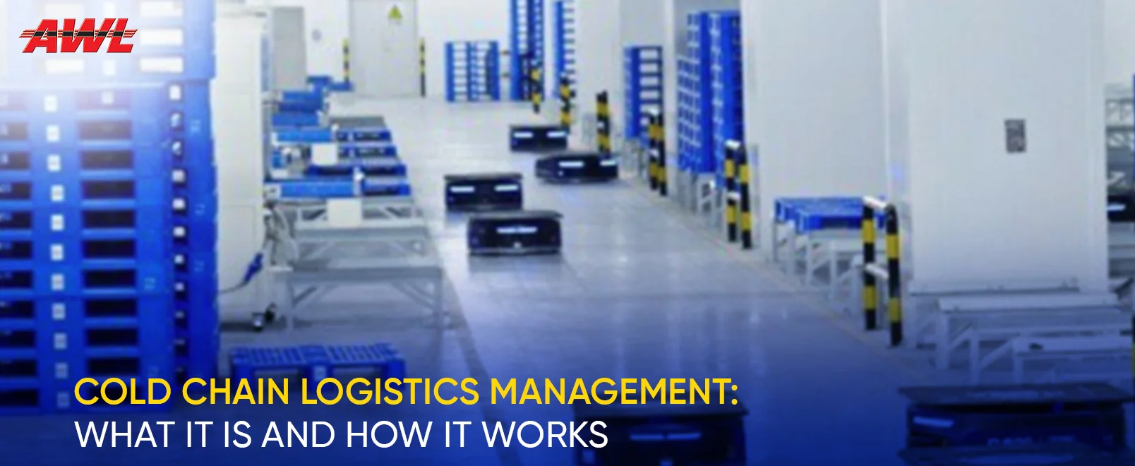 Cold Chain Logistics Management: What It Is and How It Works