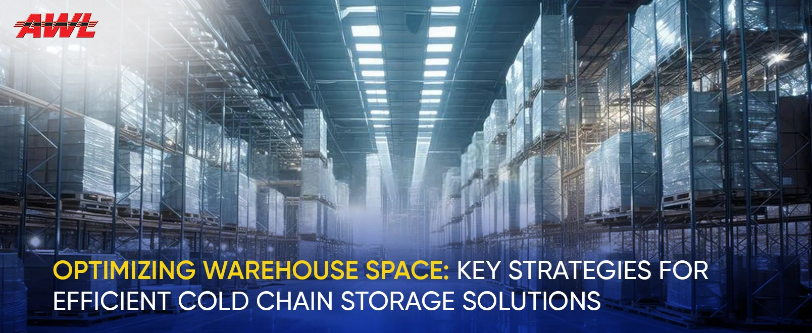 Optimizing Warehouse Space: Key Strategies for Efficient Cold Chain Storage Solutions