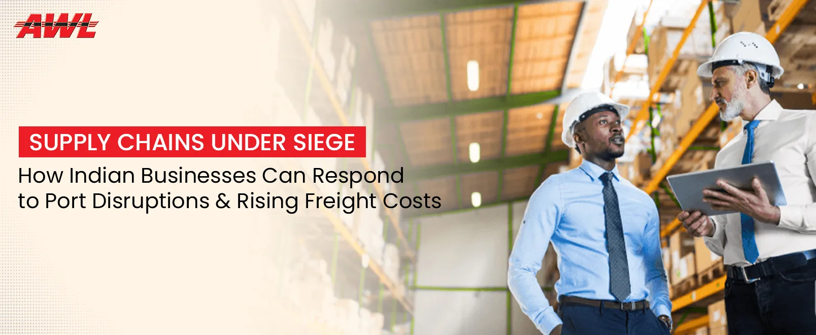 Ports Blocked. Freight Rates Tripled. What Indian Businesses Must Do Right Now to Protect Their Supply Chains